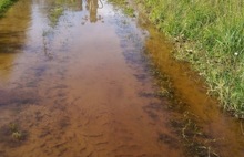«В лесу грибы с плотвой»: в Ярославской области размыло автомобильные дороги