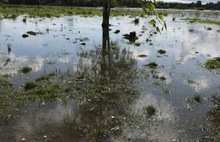 «В лесу грибы с плотвой»: в Ярославской области размыло автомобильные дороги