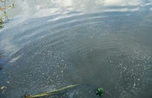 «Мне сказали – я сливаю»: в Ярославской области в озеро Неро течет река фекалий