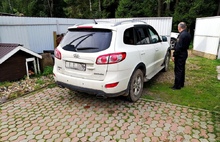 Ярославна прятала в огороде объявленный в розыск автомобиль