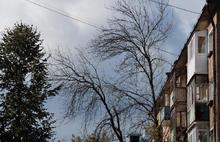 Зеленый Ярославль «сохнет»: город близок к экологической катастрофе