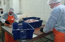 На «Пошехонском рыбзаводе» вместо радужной форели завели уголовное дело