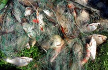 За рыбалку в заповеднике ярославские браконьеры заплатят миллион