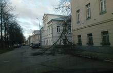 В Ярославль пришел ураган: фоторепортаж последствий природной стихии