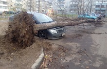 В Ярославле из-за ураганного ветра упала стена подъезда