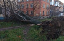 В Ярославле из-за ураганного ветра упала стена подъезда