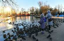 Устранять брак в ярославском парке 30-летия Победы продолжат в следующем году