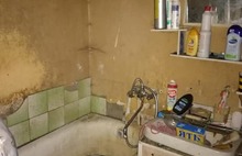 В Ярославле жильцы довели свою квартиру до состояния пещеры: фото