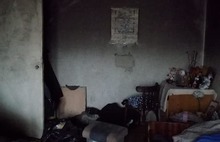 В Ярославле жильцы довели свою квартиру до состояния пещеры: фото