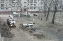 Ночью в Ярославле на машину рухнуло дерево