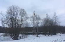 В Ярославле отменено разрешение на стройку рядом с Павловской рощей
