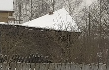 В Рыбинске на крышу дома забралась лиса: видео