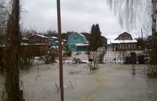 «Вода стоит по окна и постоянно прибывает»: садоводы опровергли официоз ярославских чиновников