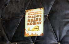 «На дне»:  ярославцы, позвонившие на прямую линию с президентом, не дождались помощи