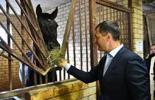 В поисках голода и болезней: мэр Ярославля проверил работу конной школы