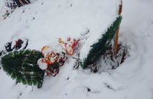 Посетители ярославского кладбища рискуют провалиться в могилы