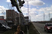 Шквалистый ветер в Ярославле валит деревья, а в Тутаеве светофоры: фото и видео