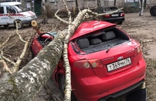 Шквалистый ветер в Ярославле валит деревья, а в Тутаеве светофоры: фото и видео