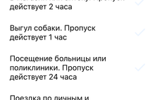 В Ярославле уже можно оформить спецпропуск через приложение «Стоп Коронавирус»