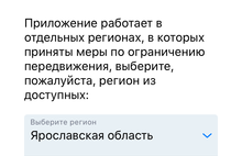 В Ярославле уже можно оформить спецпропуск через приложение «Стоп Коронавирус»