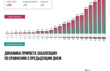 В Ярославской области прибавилось 25 заразившихся коронавирусом