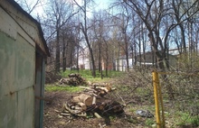 В Ярославле психбольница устроила «лесоповал»