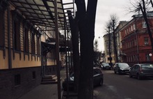В центре Ярославля уродуют деревья