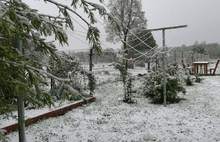 В Ярославскую область пришел майский снегопад
