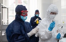Ярославль и Рыбинск значительно превзошли районы по новым случаям коронавируса
