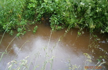 Под Угличем деревенские колодцы наполнились «мусорной водой»