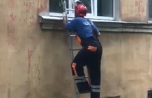 «Кричал от боли»: в Ярославле спасатели освободили кота, зажатого в окне