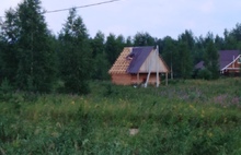 Поселок Красный Профинтерн под Ярославлем оказался в эпицентре урагана