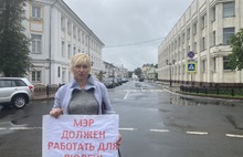 В Ярославле прошли одиночные пикеты против депутата-единоросса