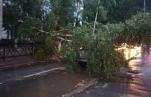 Деревья падали на машины: ярославцы делятся фото грозы и урагана