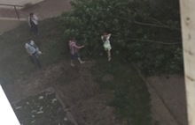 Деревья падали на машины: ярославцы делятся фото грозы и урагана