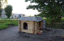В Тутаеве появился уличный «кошкин дом»