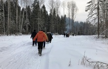 В Ярославской области осудили экс-директора «Угличского лесничества»
