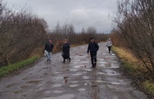 Ярославские садоводы воюют за дорогу