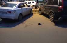 В Ярославле пьяный «Ниссан» протаранил шесть машин: видео погони