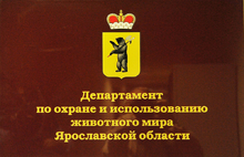 Сегодня в Ярославской области началась выдача охотничьих лицензий. С фото и видео