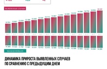 В Ярославской области еще два пациента умерли от коронавируса