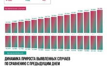 В Ярославской области стабильно растет число больных коронавирусом