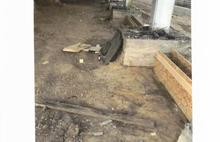 Ярославцы просят проверить ремонт бывшего ТЦ «Карусель»