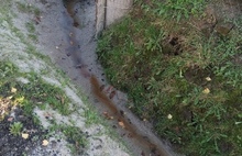 В Ярославской области оштрафовали пенсионера, жаловавшегося на текущую в Волгу канализацию