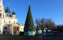 В центре Ярославля установили главную новогоднюю елку