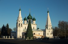В центре Ярославля установили главную новогоднюю елку