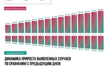В Ярославской области повторен суточный максимум по коронавирусу