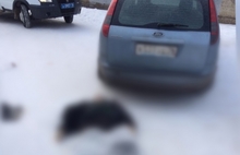 В Ярославле около жилого дома обнаружен труп мужчины