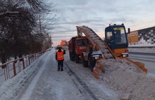 «Принято в работу»: ярославцы возмущены отписками «Горзеленхозстроя»