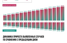 В Ярославской области пять человек скончались от COVID-19